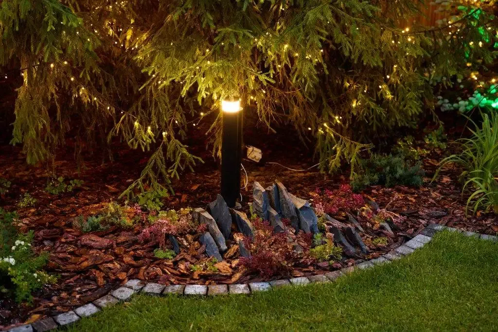 a tree with lights around it