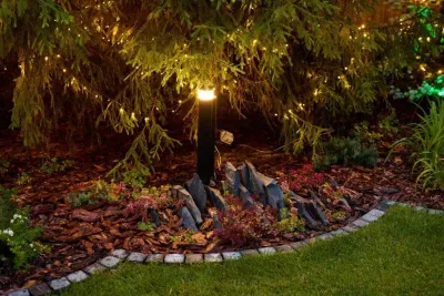 a tree with lights around it